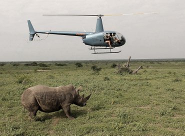 Nick Ball filming documentary on rhinos from helicopter